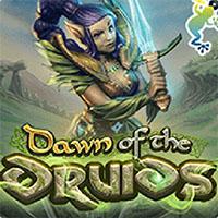 Dawn of the Druids